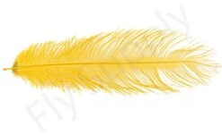 Ostrich Plumes Large -Fishing Specialty Store Ostrich plumes Large FSTYING PLLG X dsc08697 bewerkt