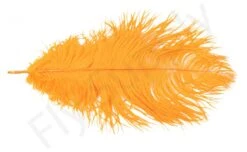 Ostrich Plumes Large -Fishing Specialty Store Ostrich plumes Large FSTYING PLLG X dsc08698 bewerkt