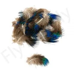Peacock Body Feathers 25pc 6 Peacock Body Feathers 25pc -Fishing Specialty Store Peacock Body Feathers 25pc 53582 XX dsc02565 bewerkt