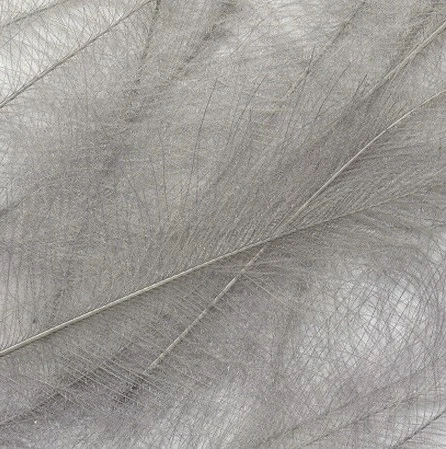 Petitjean CDC Feathers 1 Gram 5 Petitjean CDC Feathers 1 Gram - Image 3