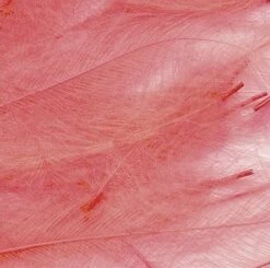 Petitjean CDC Feathers 1 Gram 27 Petitjean CDC Feathers 1 Gram -Fishing Specialty Store Petitjean CDC Feathers 1 Gram MPJ MP CDC XX petit feather10