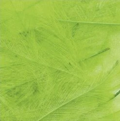 Petitjean CDC Feathers 1 Gram 28 Petitjean CDC Feathers 1 Gram -Fishing Specialty Store Petitjean CDC Feathers 1 Gram MPJ MP CDC XX petit feather11