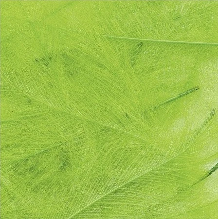 Petitjean CDC Feathers 1 Gram 13 Petitjean CDC Feathers 1 Gram - Image 11