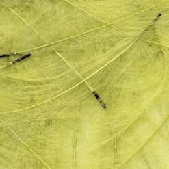 Petitjean CDC Feathers 1 Gram 30 Petitjean CDC Feathers 1 Gram -Fishing Specialty Store Petitjean CDC Feathers 1 Gram MPJ MP CDC XX petit feather13