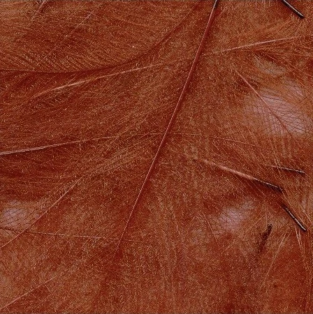 Petitjean CDC Feathers 1 Gram 16 Petitjean CDC Feathers 1 Gram - Image 14