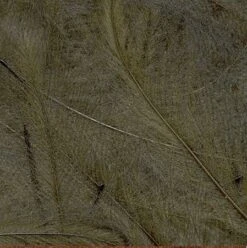 Petitjean CDC Feathers 1 Gram 33 Petitjean CDC Feathers 1 Gram -Fishing Specialty Store Petitjean CDC Feathers 1 Gram MPJ MP CDC XX petit feather15