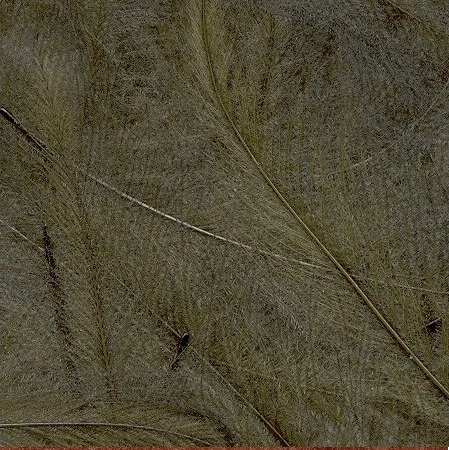 Petitjean CDC Feathers 1 Gram 18 Petitjean CDC Feathers 1 Gram - Image 16