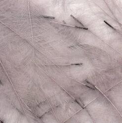 Petitjean CDC Feathers 1 Gram 21 Petitjean CDC Feathers 1 Gram -Fishing Specialty Store Petitjean CDC Feathers 1 Gram MPJ MP CDC XX petit feather2