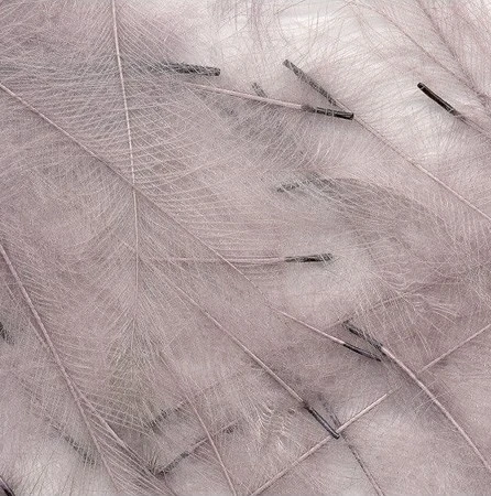 Petitjean CDC Feathers 1 Gram 6 Petitjean CDC Feathers 1 Gram - Image 4