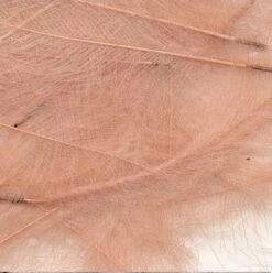 Petitjean CDC Feathers 1 Gram 22 Petitjean CDC Feathers 1 Gram -Fishing Specialty Store Petitjean CDC Feathers 1 Gram MPJ MP CDC XX petit feather3