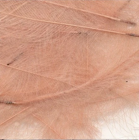 Petitjean CDC Feathers 1 Gram 7 Petitjean CDC Feathers 1 Gram - Image 5