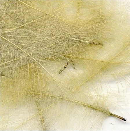 Petitjean CDC Feathers 1 Gram 8 Petitjean CDC Feathers 1 Gram - Image 6