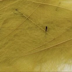 Petitjean CDC Feathers 1 Gram 25 Petitjean CDC Feathers 1 Gram -Fishing Specialty Store Petitjean CDC Feathers 1 Gram MPJ MP CDC XX petit feather8