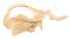 Premium Micro Mink Zonkers 1mm -Fishing Specialty Store Premium Micro Mink Zonkers 1mm MICROMINKZONKERS XXX dsc05830