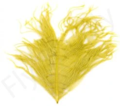 Premium Ostrich Herl Long Fibers -Fishing Specialty Store Premium Ostrich Herl Long Fibers OH XXX dsc02487