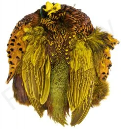 Premium Ringneck Pheasant Skin -Fishing Specialty Store Premium Ringneck Pheasant Skin RINGSKIN XXX dsc04737
