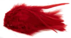 Premium Strung Rooster Saddles Long -Fishing Specialty Store Premium Strung Rooster Saddles Long CSN XXX dsc02066