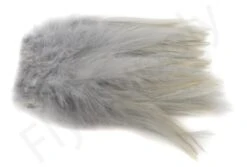 Premium Strung Rooster Saddles Long -Fishing Specialty Store Premium Strung Rooster Saddles Long CSN XXX dsc02070