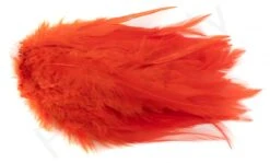 Premium Strung Rooster Saddles Long -Fishing Specialty Store Premium Strung Rooster Saddles Long CSN XXX dsc02082