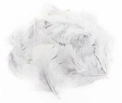 Premium Turkey Flats Marabou Feathers 14 Premium Turkey Flats Marabou Feathers -Fishing Specialty Store Premium Turkey Flats Marabou Feathers FS TYING PTFM X dsc06522 bewerkt 2