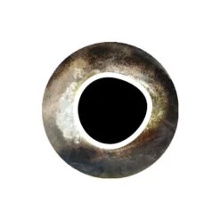 Pro Sportfisher Cooleyes -Fishing Specialty Store Pro Sportfisher Pro Cooleyes PROCOOLEYES XXX cooleye brown 6mm 1 3