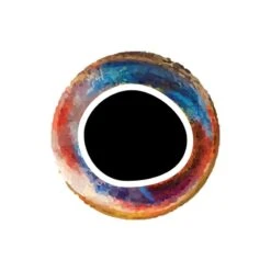 Pro Sportfisher Cooleyes -Fishing Specialty Store Pro Sportfisher Pro Cooleyes PROCOOLEYES XXX cooleye rainbow 6mm 1 3