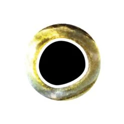 Pro Sportfisher Cooleyes -Fishing Specialty Store Pro Sportfisher Pro Cooleyes PROCOOLEYES XXX cooleye yellow silver 6mm 1 3