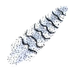 Pro Sportfisher Shrimp Shell WOE