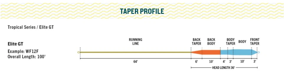 RIO Elite GT Floating Fly Line Blue/Orange/Sea Grass 5 RIO Elite GT Floating Fly Line Blue/Orange/Sea Grass - Image 3