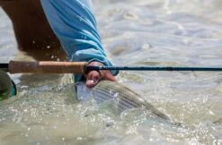 Redington Predator II Fly Rod 14 Redington Predator II Fly Rod -Fishing Specialty Store Redington Predator II Fly Rod 05 851 XX knipsel4