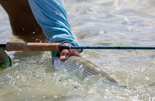 Redington Predator II Fly Rod 7 Redington Predator II Fly Rod - Image 5