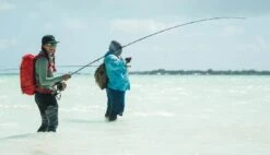 Redington Predator II Fly Rod 15 Redington Predator II Fly Rod -Fishing Specialty Store Redington Predator II Fly Rod 05 851 XX knipsel6