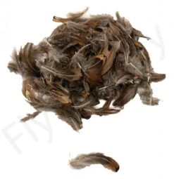 Ringneck Pheasant Body Feathers 3gr -Fishing Specialty Store Ringneck Pheasant Body Feathers 3gr RINGNECKBODY XXX dsc02526 bewerkt