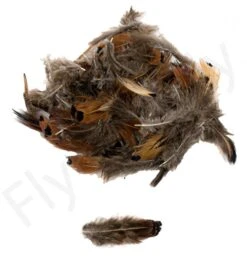 Ringneck Pheasant Body Feathers 3gr -Fishing Specialty Store Ringneck Pheasant Body Feathers 3gr RINGNECKBODY XXX dsc02527 bewerkt bewerkt