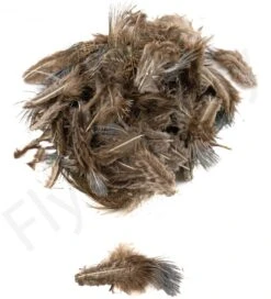 Ringneck Pheasant Body Feathers 3gr -Fishing Specialty Store Ringneck Pheasant Body Feathers 3gr RINGNECKBODY XXX dsc02528 bewerkt