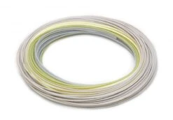Rio Elite Predator Fly Line -Fishing Specialty Store Rio Elite Predator Fly Line 12 9479 XXX fw elite predator fhi coil 1