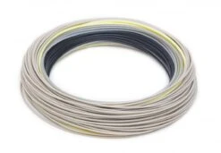 Rio Elite Predator Fly Line -Fishing Specialty Store Rio Elite Predator Fly Line 12 9479 XXX fw elite predator fis3 coil 1