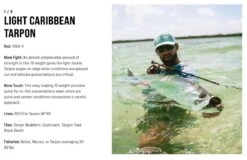 SAGE Salt R8 Fly Rod -Fishing Specialty Store SAGE Salt R8 Fly Rod 03 17 XXX 11 1