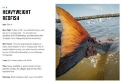 SAGE Salt R8 Fly Rod -Fishing Specialty Store SAGE Salt R8 Fly Rod 03 17 XXX 13 1