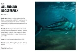 SAGE Salt R8 Fly Rod -Fishing Specialty Store SAGE Salt R8 Fly Rod 03 17 XXX 15 1