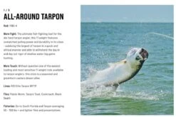 SAGE Salt R8 Fly Rod -Fishing Specialty Store SAGE Salt R8 Fly Rod 03 17 XXX 16 1