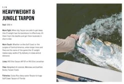 SAGE Salt R8 Fly Rod -Fishing Specialty Store SAGE Salt R8 Fly Rod 03 17 XXX 17 1