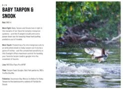 SAGE Salt R8 Fly Rod -Fishing Specialty Store SAGE Salt R8 Fly Rod 03 17 XXX 9 1