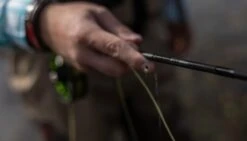 SAGE Sense Fly Rod -Fishing Specialty Store SAGE Sense Fly Rod SAGESENSEROD XXX sense tube4