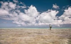 Sage Maverick Fly Rod 25 Sage Maverick Fly Rod -Fishing Specialty Store Sage Maverick Fly Rod 03 54XXXX maverick 2 1