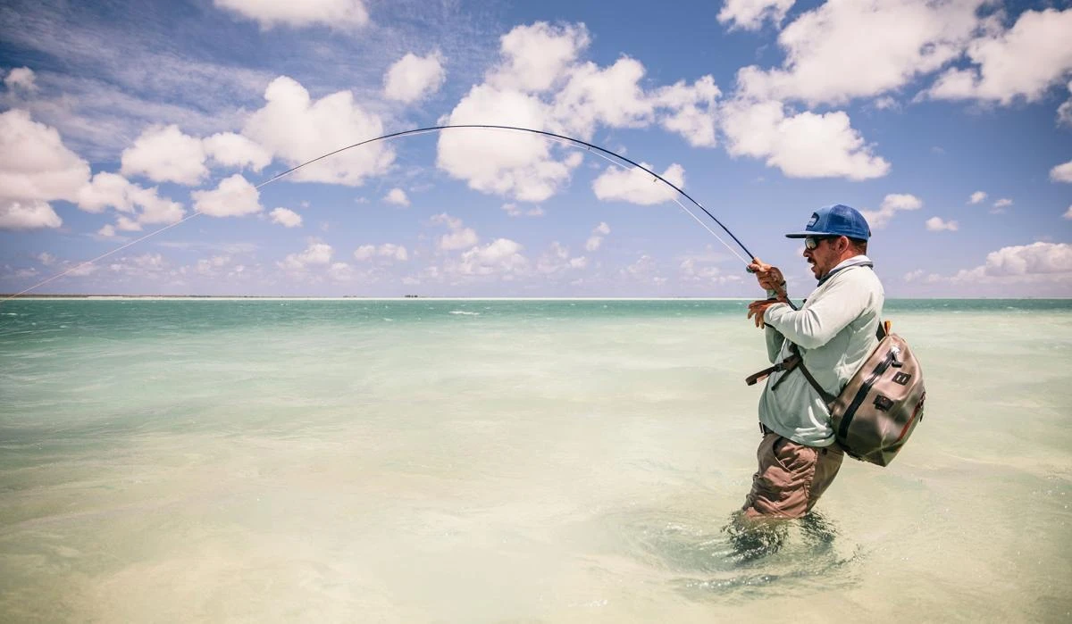 Sage Maverick Fly Rod 14 Sage Maverick Fly Rod - Image 12