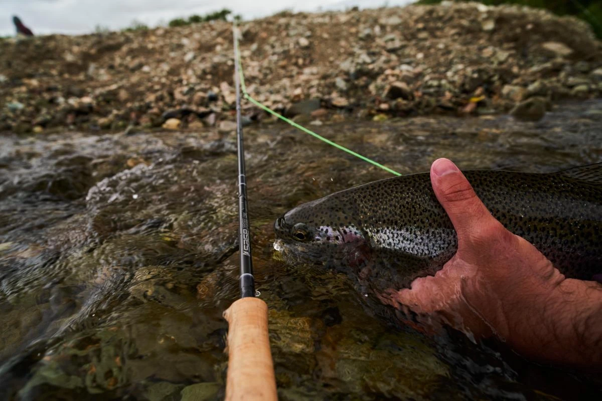 Sage R8 Core Fly Rods 19 Sage R8 Core Fly Rods - Image 17