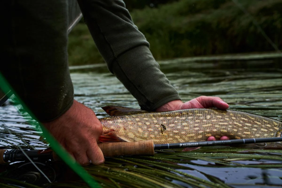 Sage R8 Core Fly Rods 21 Sage R8 Core Fly Rods - Image 19