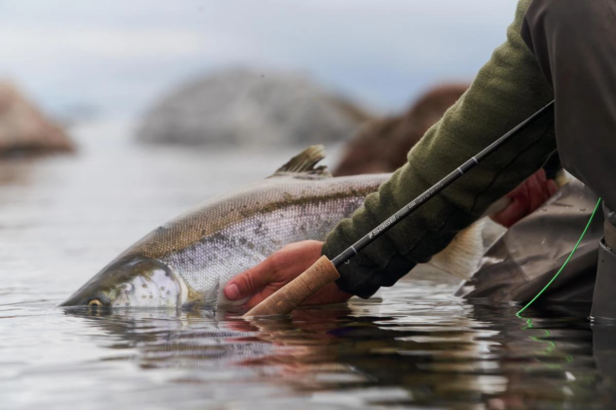 Sage R8 Core Fly Rods 22 Sage R8 Core Fly Rods - Image 20