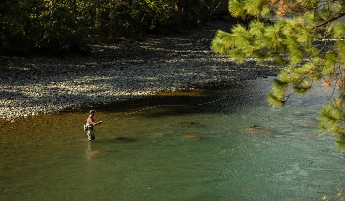 Sage Sonic Fly Rod 9 Sage Sonic Fly Rod - Image 8